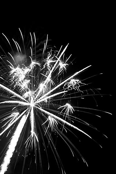 firework001.jpg
