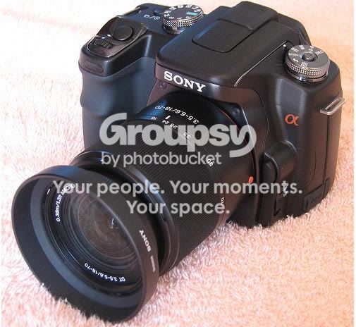 sony100.jpg