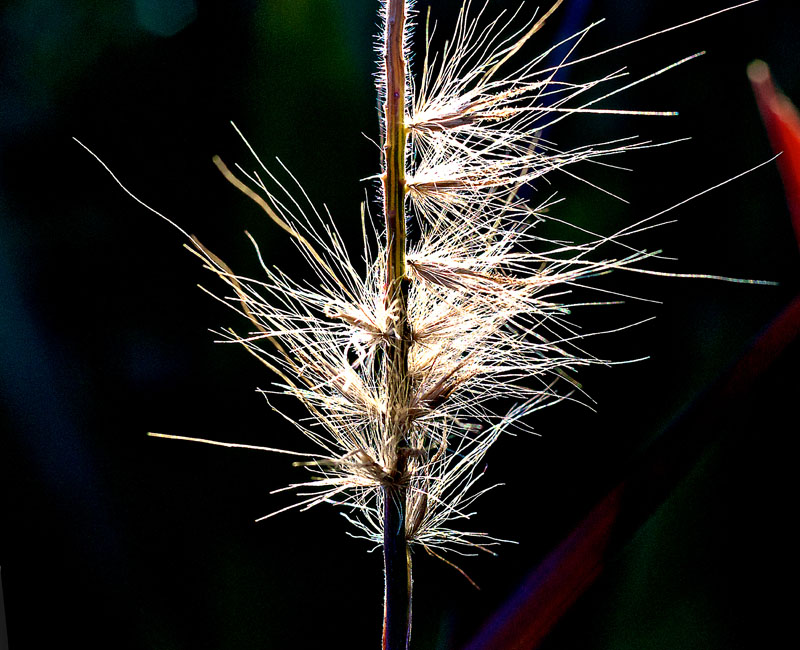 P1080513.jpg