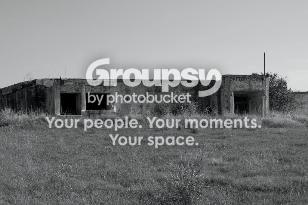 Battery2BW.jpg