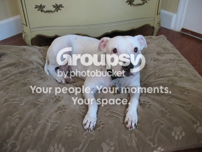IMG_3147-2.jpg