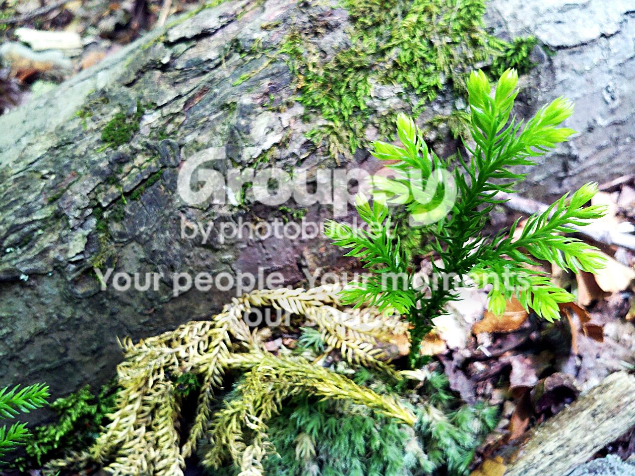 2010-07-18_12-43-50_452ars.jpg