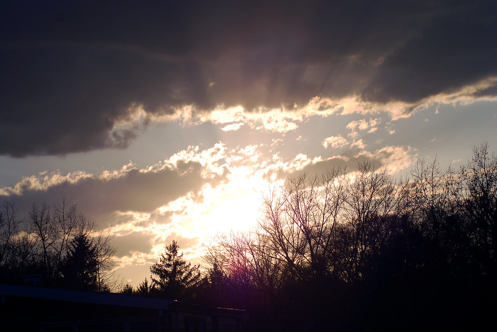 2446831630_5141a848fc_b.jpg