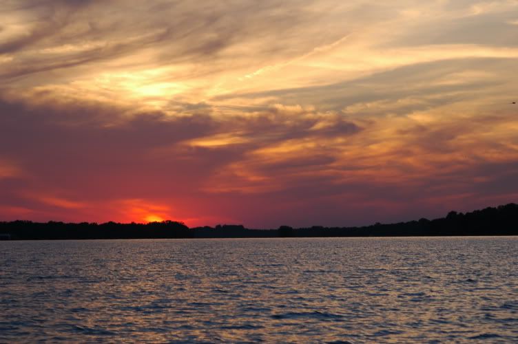 DSC_0093.jpg