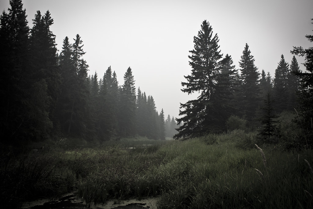 4908720571_1fea61d324_b.jpg