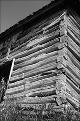3803015148_00b317c6d0_m.jpg