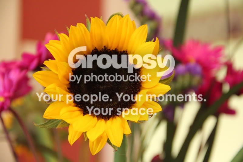 canonshots066.jpg