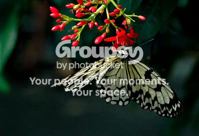 websize2005-09-14_2.jpg