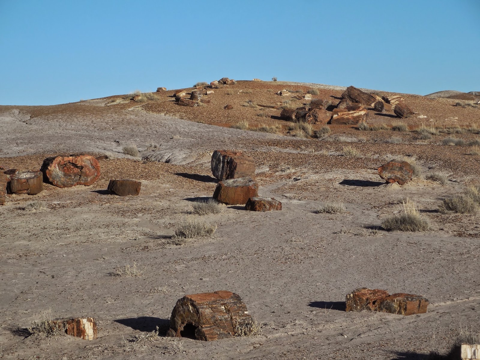 DSCN6153.JPG