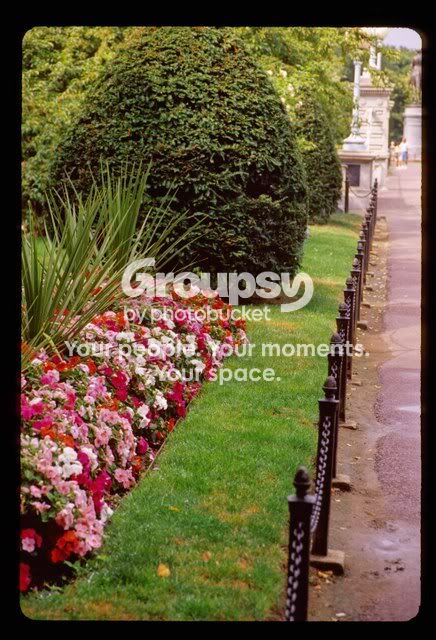 Image12.jpg