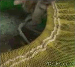 AT0phNY.gif