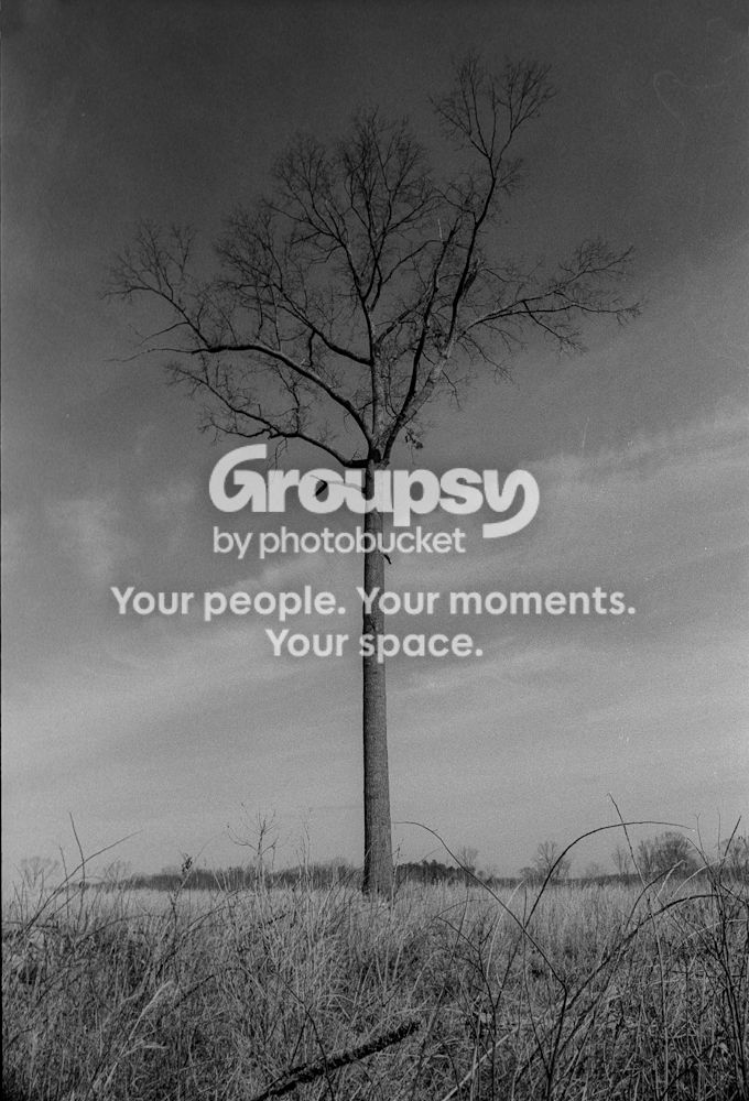 Scan-130131-0006_zpse78520e1.jpg