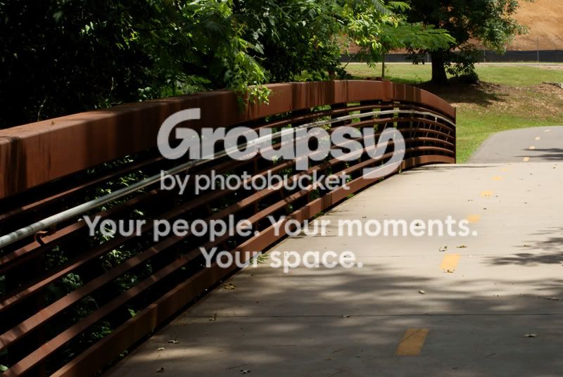 bridge.jpg