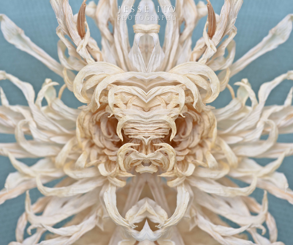 6712496527_74d203e24e_b.jpg