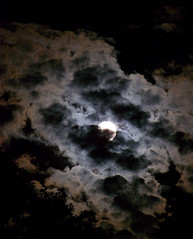 1262976914_acc8743d20_m.jpg