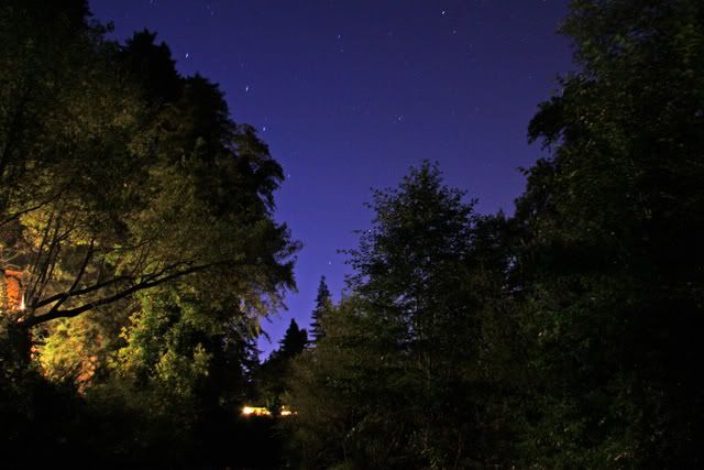 nightsky.jpg