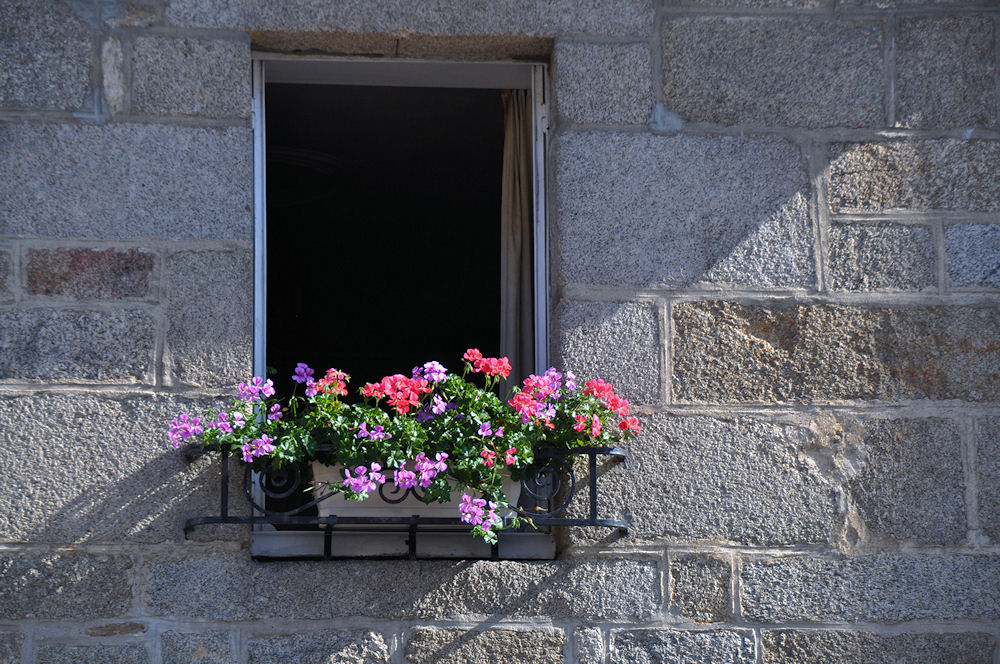 20100828_52a.jpg