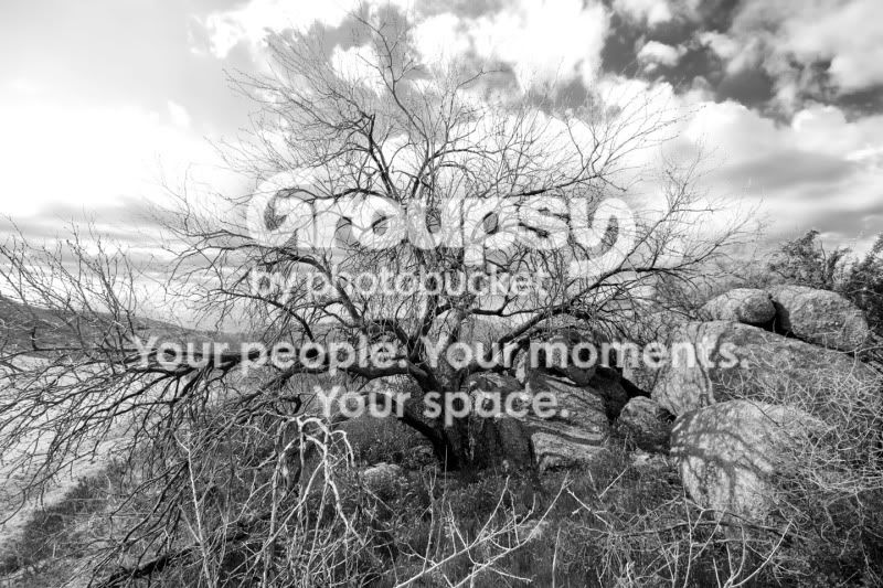 IMG_7892bw.jpg