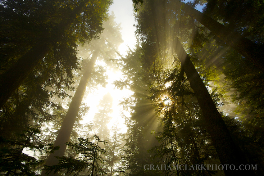 grahamclarkphoto-9.jpg