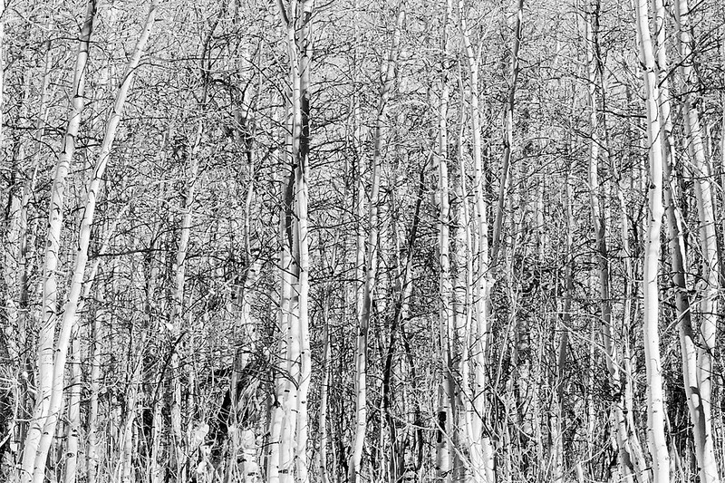 10540418606_aa2790d6e5_c.jpg