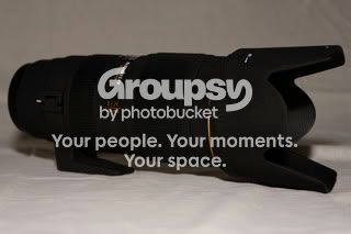 IMG_4978.jpg