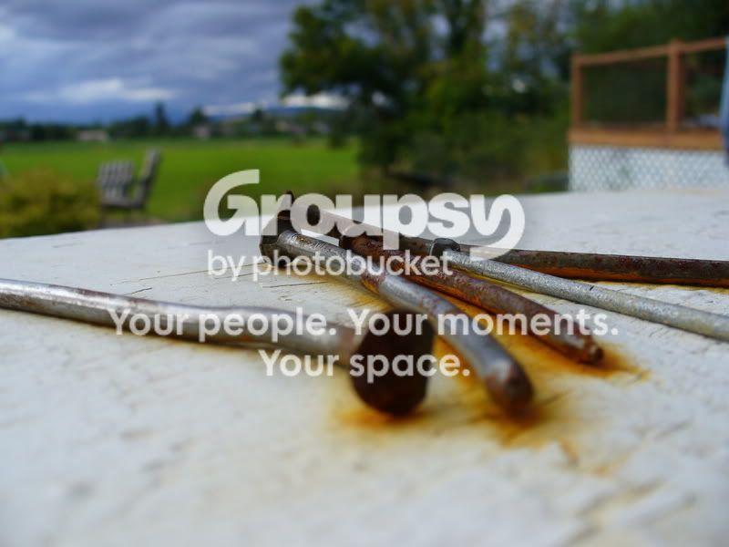 P1000825.jpg