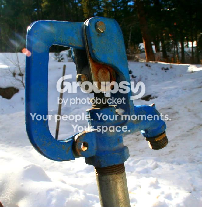 mattiespictures397.jpg