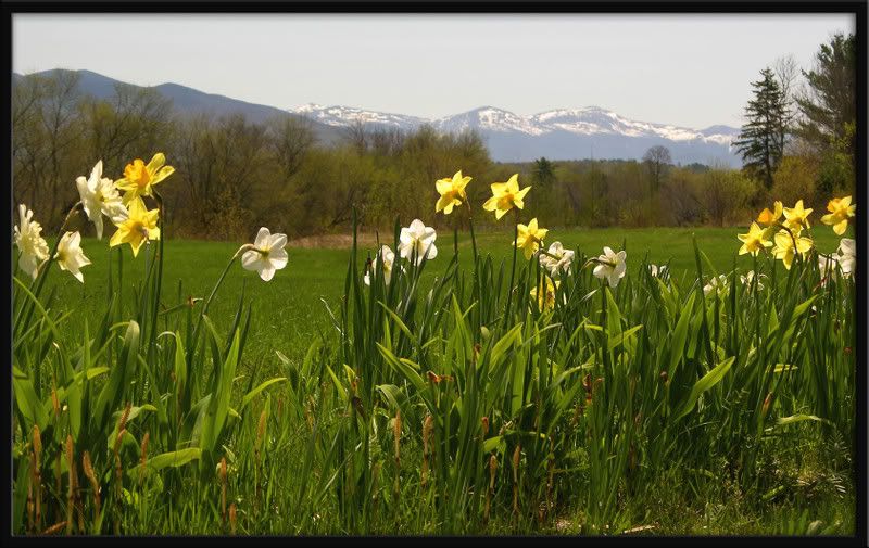 Itsspringdownbelow.jpg