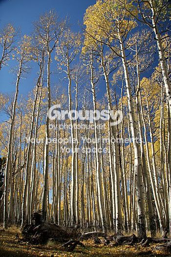 IMG_8843_share.jpg