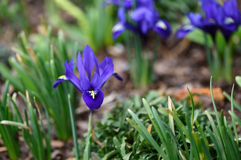 DSC_00016-XL.jpg