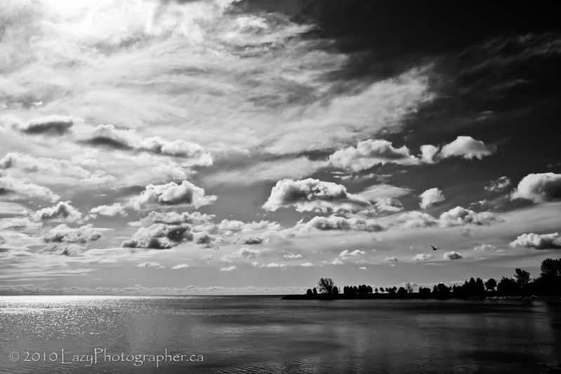 FallColours2010-272-EDITED.jpg