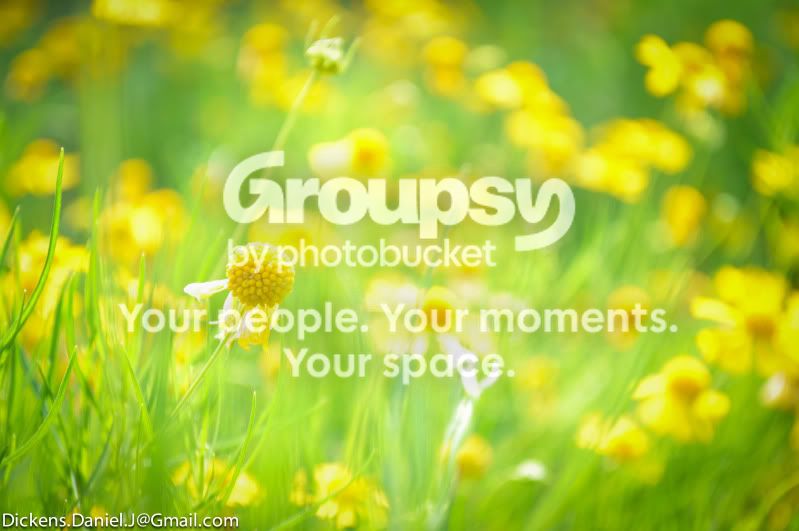 YellowV.jpg