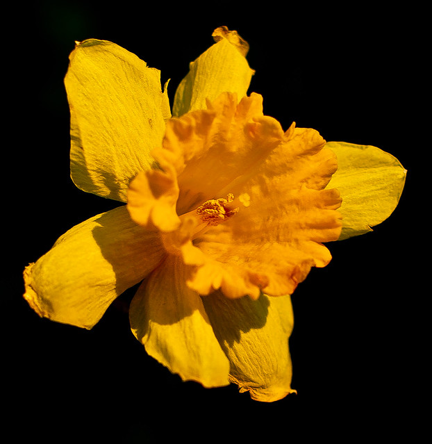 7059103839_7a7e521d85_z.jpg