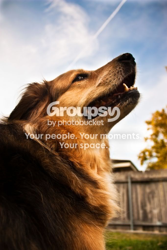 stacy.jpg