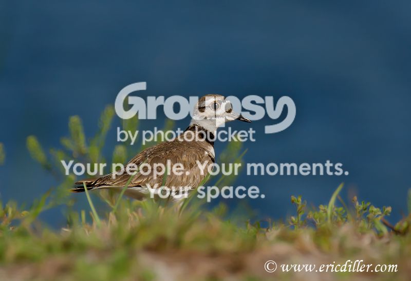 _ECD3477-copy.jpg