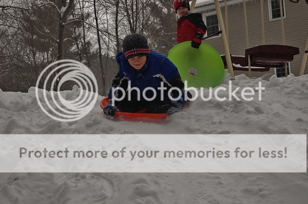 DSC_0458.jpg