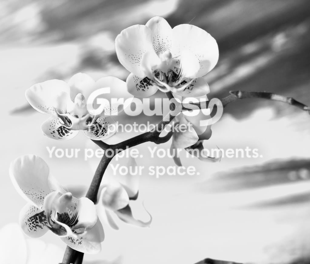 untitled-1-2.jpg