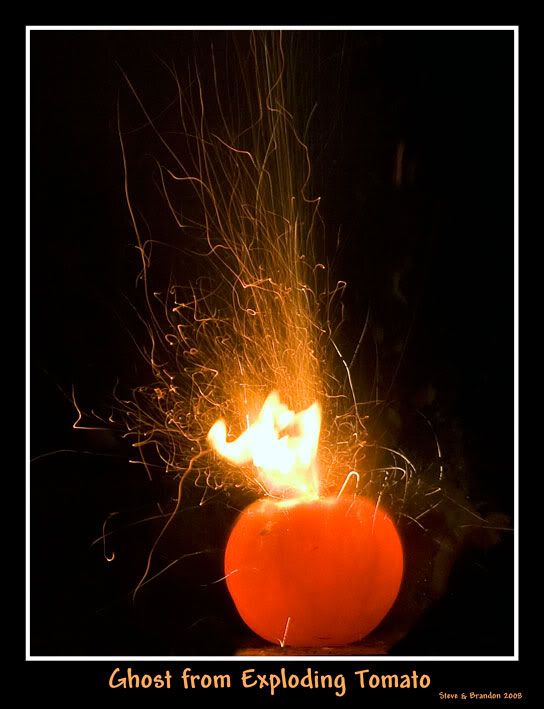Ghost-in-exploding-tomato-8717.jpg
