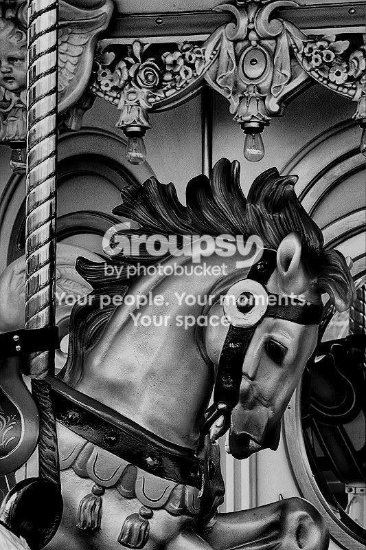 go-around_101bw.jpg