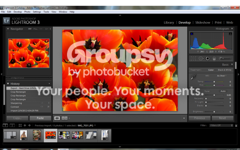 screenshot.png