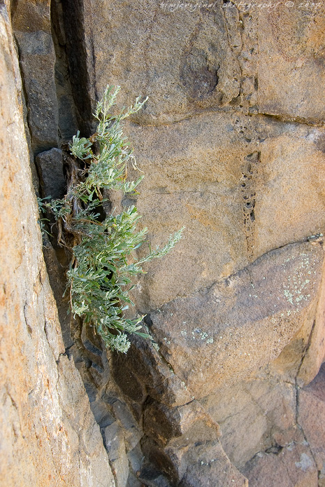 vantage070701_04.jpg