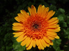 9318817556_1d090f8c7b_m.jpg