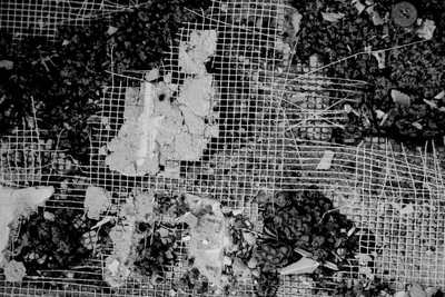 z72496375.jpg