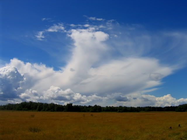a1_10_Himmel.jpg