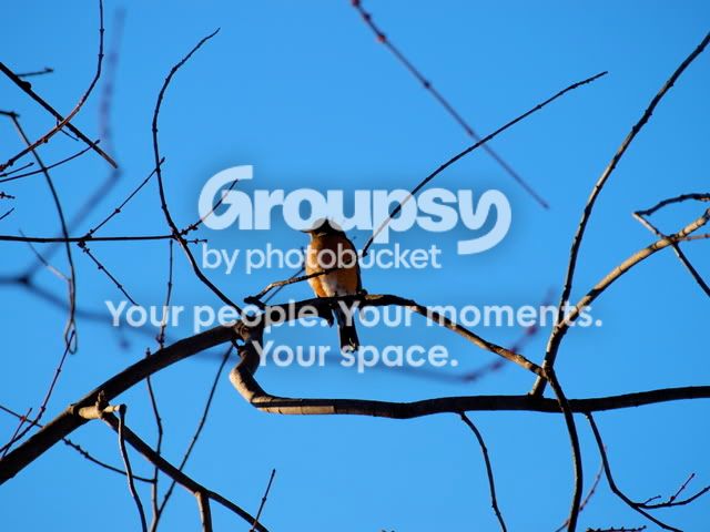 P1010123.jpg
