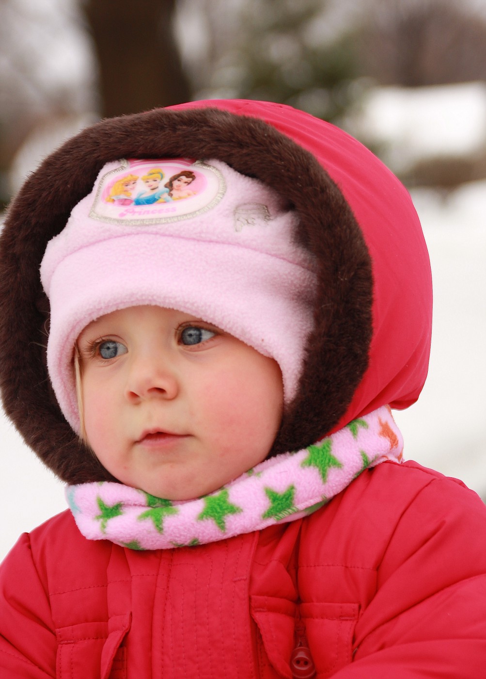 20081224IMG_9190-vi.jpg