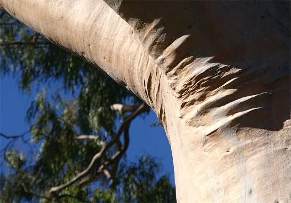pp210505_05.jpg