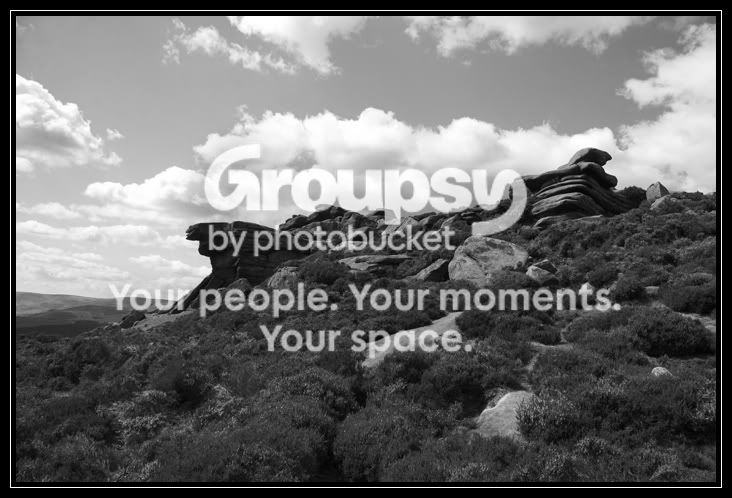 bwlandscape.jpg