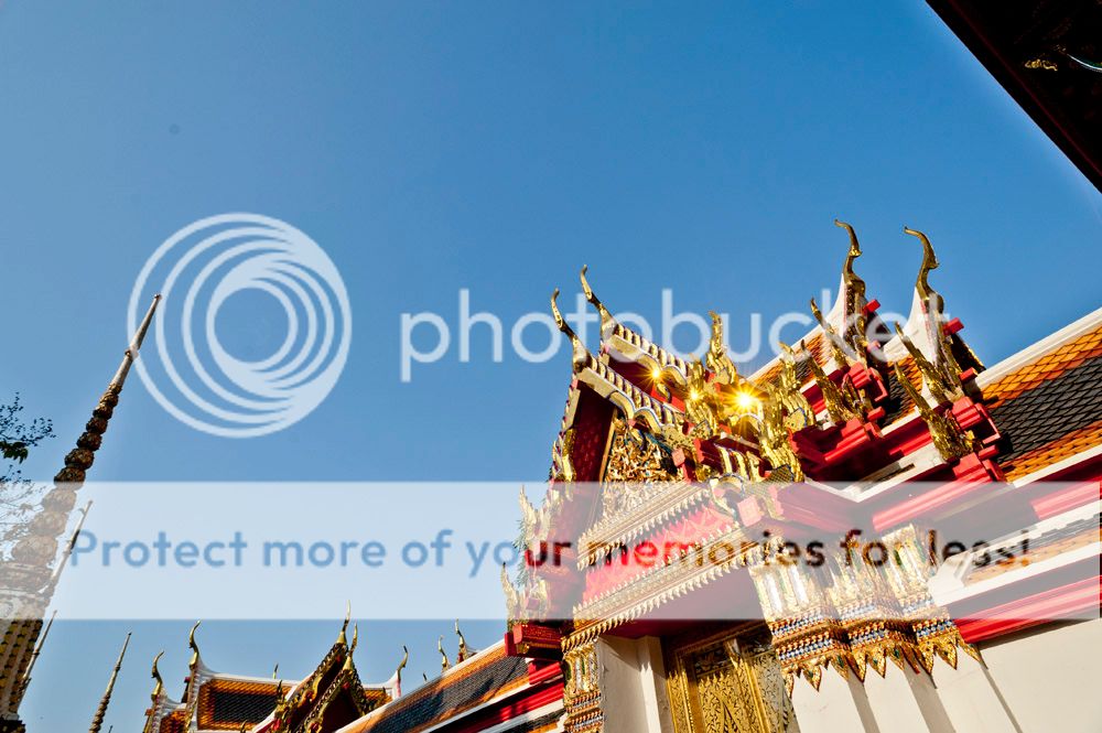 DSC_6907_zpskaxgqwok.jpg