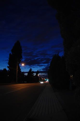 DSC_0332.jpg